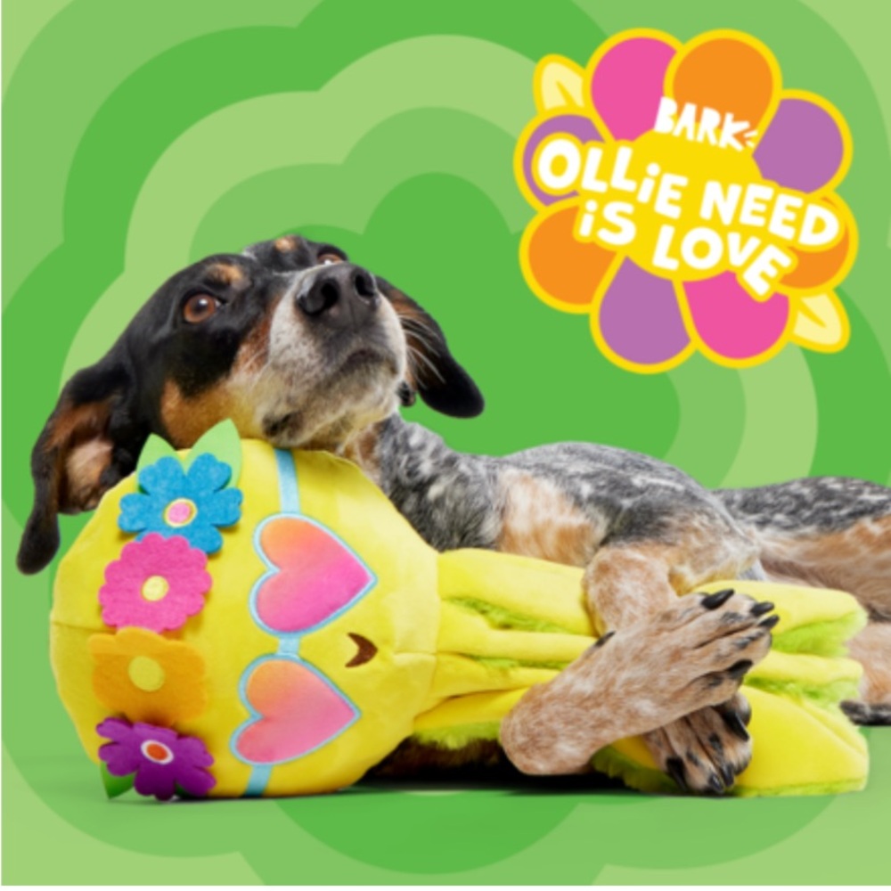 NEW ABSOLUTELY ADORABLE BARK TOY CALLED “OLLIE NEED IS ❤️ LOVE” SIZE LARGE❣️